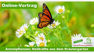 Online-Vortrag: 