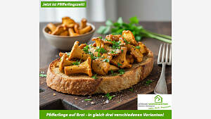 Pfifferlinge auf Brot in drei Varianten