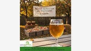 Most - Das flüssige Gold unserer Streuobstwiesen