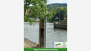Pegel Gundelsheim / Neckar