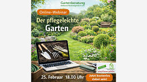Online-Webinar: 