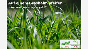 Auf einem Grashalm pfeifen