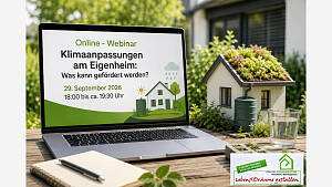 Online - Webinar: