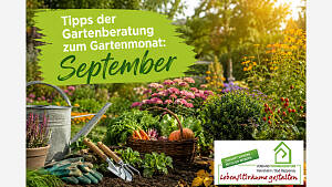 Gartenmonat:  September