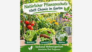 Natürlicher Pflanzenschutz statt Chemie im Garten
