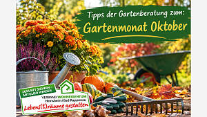 Gartenmonat:  Oktober