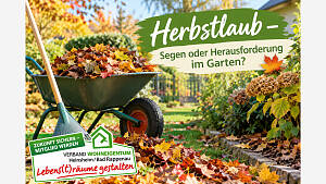 Herbstlaub - Segen oder Herausforderung im Garten?