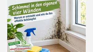 Schimmel in den eigenen vier Wänden