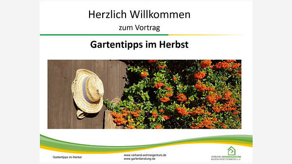 GARTENTIPPS IM HERBST | Verband Wohneigentum e.V.