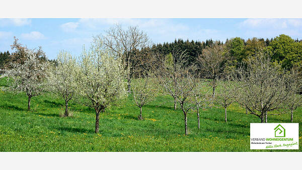 Themenbild: Abstände bei Streuobstwiesen Themenbild: Abstände bei Streuobstwiesen