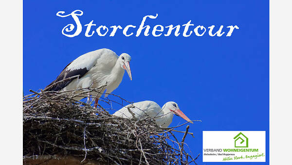 Themenbild: Storchentour