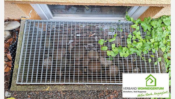 Themenbild: Lichtschachtabdeckung Themenbild: Lichtschachtabdeckung