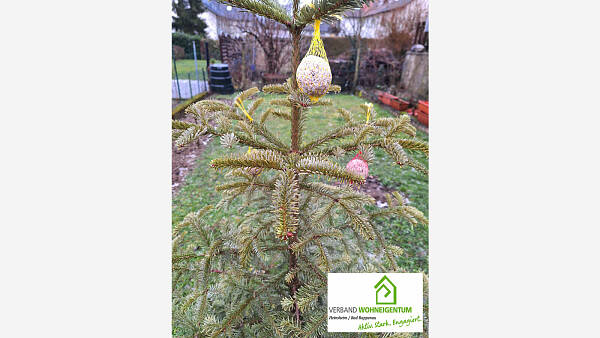 Themenbild: Kreative und nachhaltig: Weihnachtsbaum-Upcycling Themenbild: Kreative und nachhaltig: Weihnachtsbaum-Upcycling