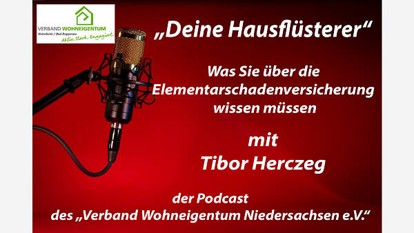 Themenbild: "Deine Hausflüsterer": "Sie über die Elementarschadenversicherung wissen müssen"