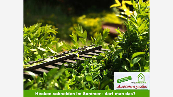 Themenbild: Hecken schneiden im Sommer - darf man das? Themenbild: Hecken schneiden im Sommer - darf man das?