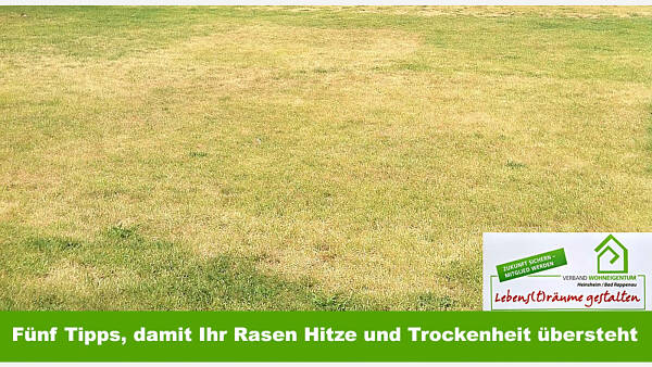 Themenbild: Fünf Tipps, damit Ihr Rasen Hitze und Trockenheit übersteht