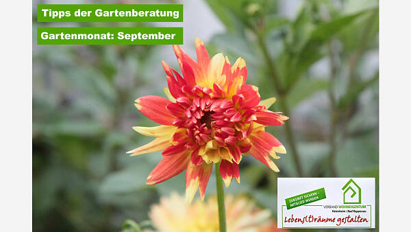 Themenbild: Gartenmonat: September Themenbild: Gartenmonat: September