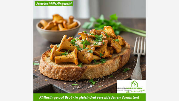 Themenbild: Pfifferlinge auf Brot in drei Varianten Themenbild: Pfifferlinge auf Brot in drei Varianten