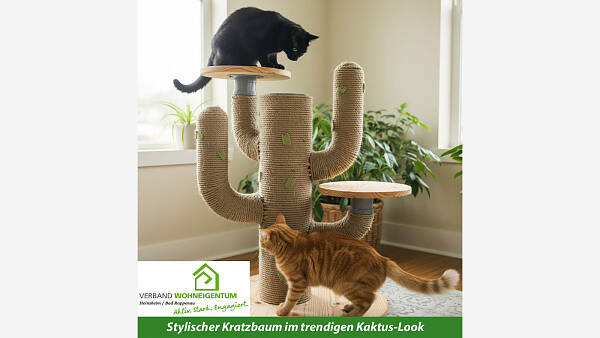 Themenbild: Kaktus trifft Katze: ein Kratzbaum mit Stil Themenbild: Kaktus trifft Katze: ein Kratzbaum mit Stil