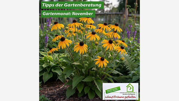 Themenbild: Gartenmonat: November