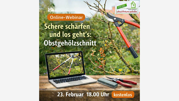 Themenbild: Online-Webinar: "Schere schärfen und los geht’s: Obstgehölzschnitt"