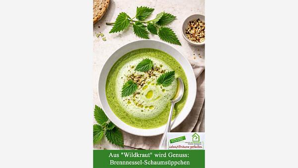 Themenbild: Aus "Wildkraut" wird Genuss: Brennnessel-Schaumsüppchen