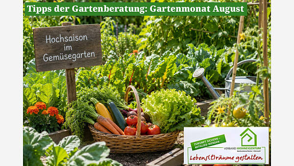 Themenbild: Gartenmonat: August