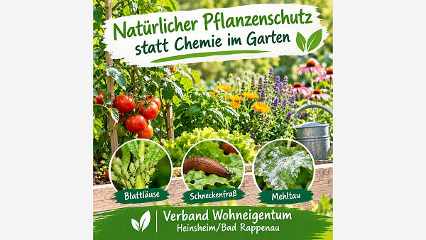 Themenbild: Natürlicher Pflanzenschutz statt Chemie im Garten