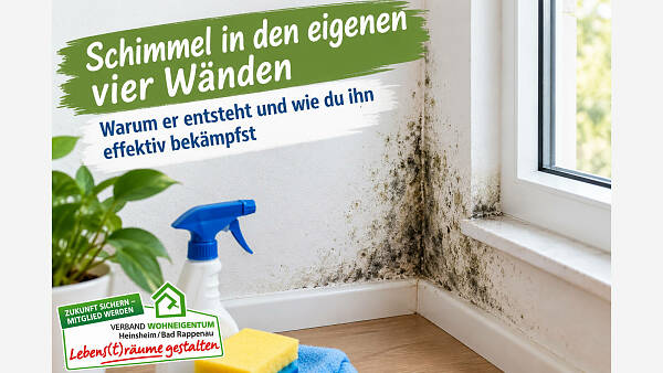 Themenbild: Schimmel in den eigenen vier Wänden
