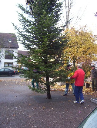 Aufbau_Wbaum_221103_5.JPG