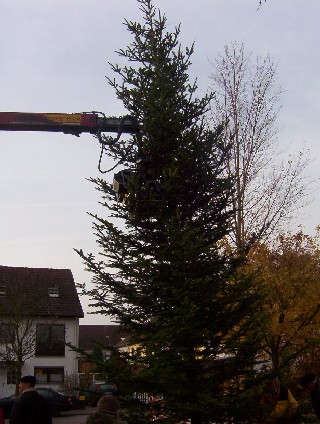 Aufbau_Wbaum_221103_6.JPG