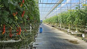 Beispiel eines Gewächshauses