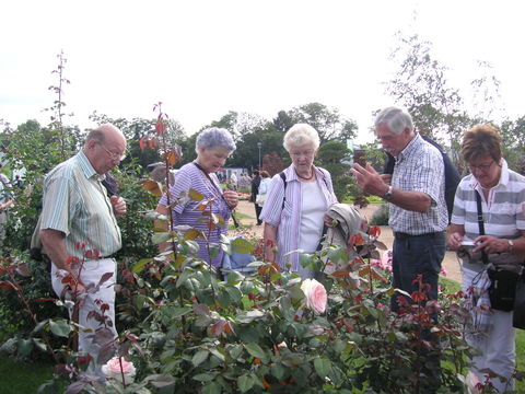 die Blumen werden bewundert