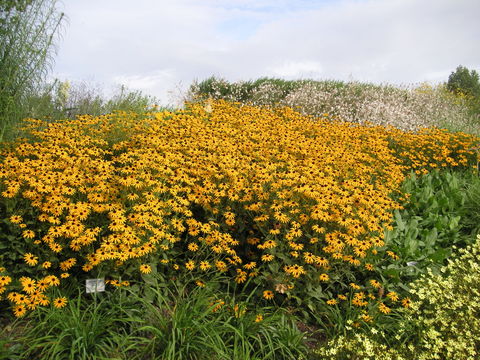 ein Traum für den eigenen Garten