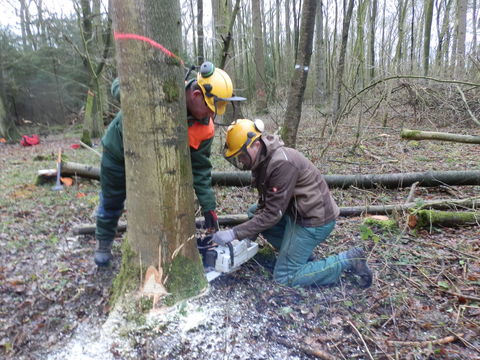 Schulung im Wald