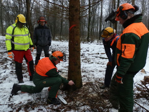 Schulung im Wald