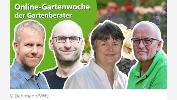Themenbild: . Themenbild: .