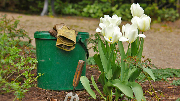 Themenbild: Gießkanne und Blumen im Beet