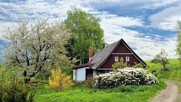 Themenbild: Haus im Grünen