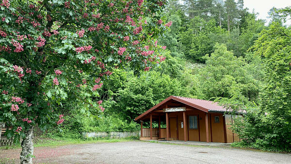 Themenbild: Siedlerheim im Sommer