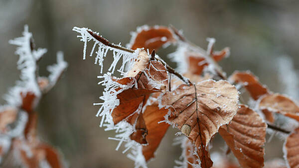 Themenbild: Dezember