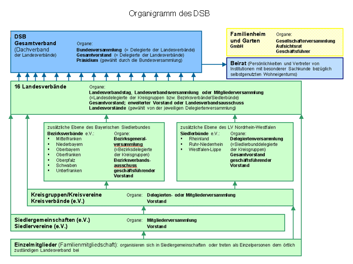 Organigramm
