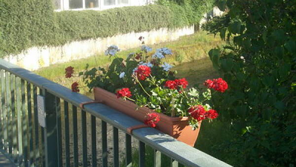 Themenbild: Blumenschmuck an der Brücke