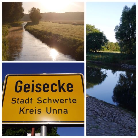 Geisecke, Ruhrauen/Juli 2016