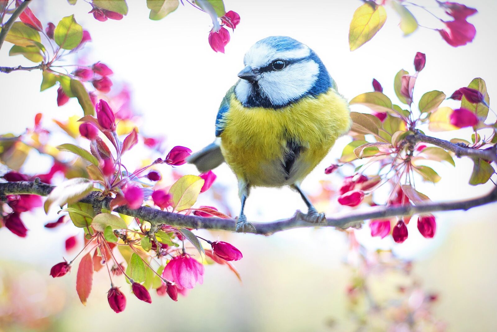 Frühling