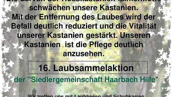 Themenbild: Mitglieder Info Themenbild: Mitglieder Info