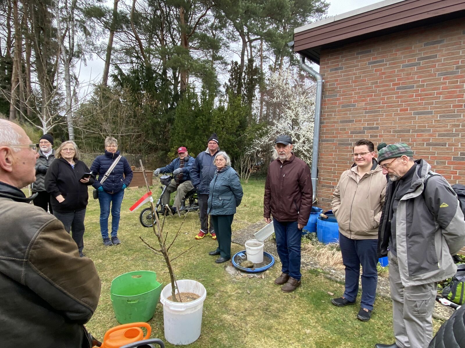 Baumpflanz-Challenge