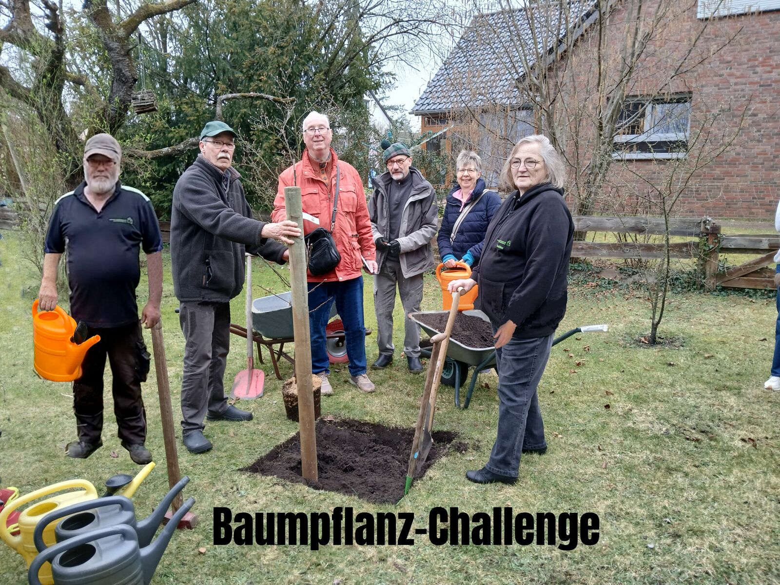 Baumpflanz-Challenge