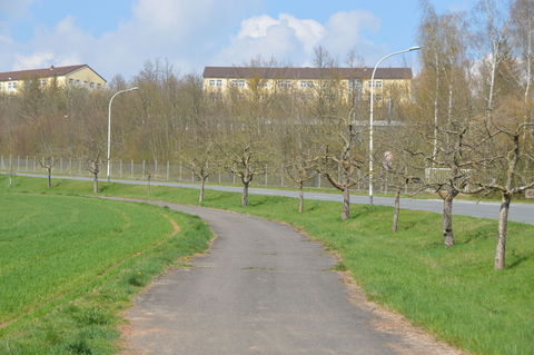 Streuobst entlang der  Alten Würzburgerstrasse