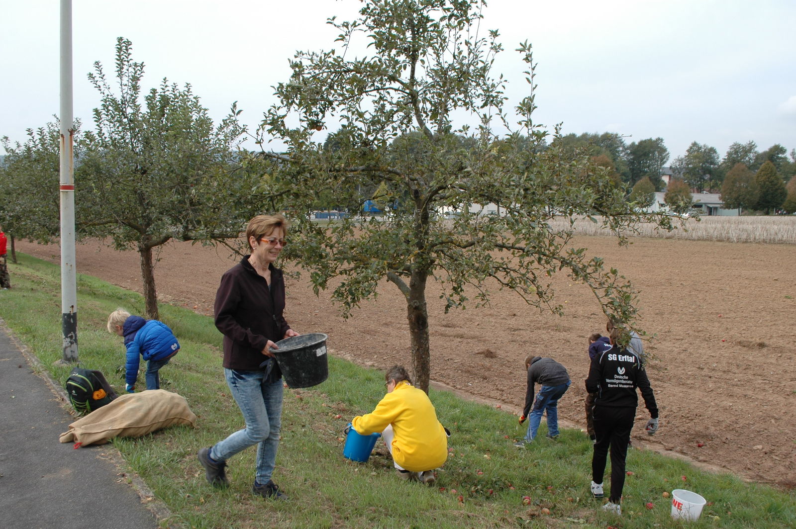 Obstbaumpflege